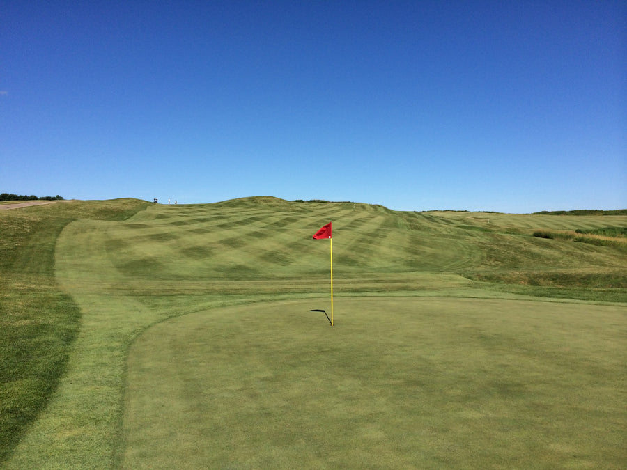 FOUR (4) FRIDAY GOLF ROUNDS - Four 18 hole FRIDAY Golf Rounds, No Expiration. $36 Each