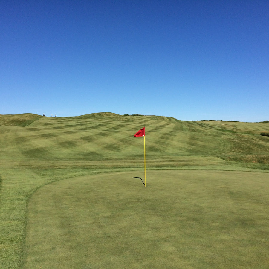 FOUR (4) MONDAY GOLF ROUNDS: Four 18 hole Monday Golf Rounds, No Expiration. $28.00 Each